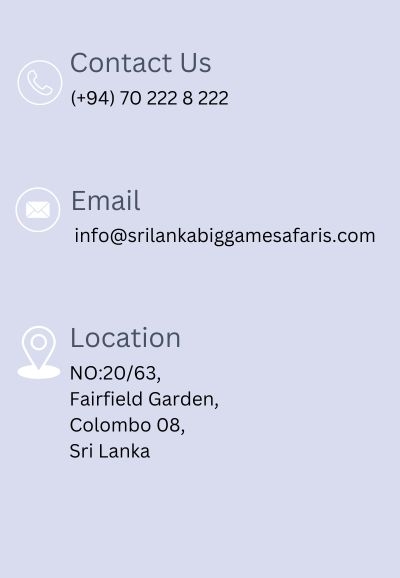 Contact details of Big game Sri Lanka 